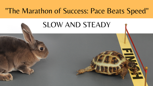 Slow and Steady: The Entrepreneur's Guide to Inspired Progress